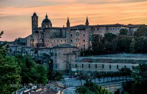 urbino